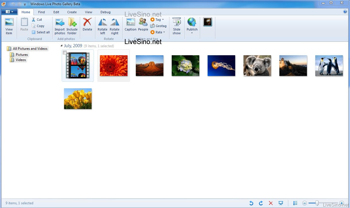 Windows and Android Free Downloads : windows live photo gallery windows