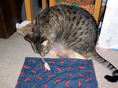 Bonnie & Mouse