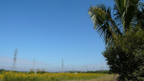 P1110094