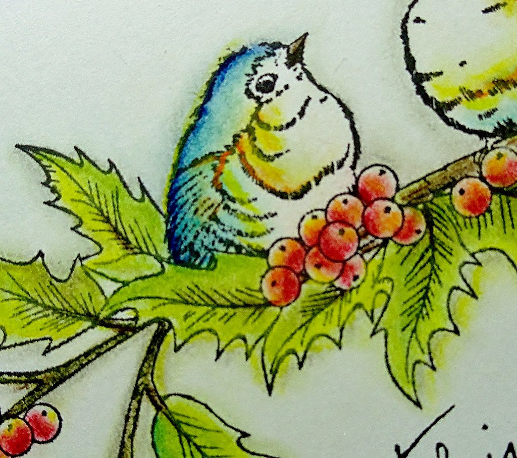 Shading Close Up