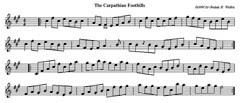 The Carpathian Foothills