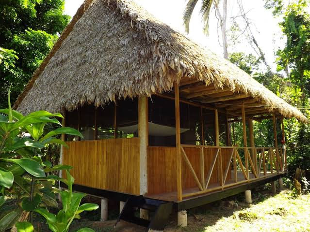 17001 Rio Tambopata margen izquierdo(lago tres chimbadas, 17001, Perú