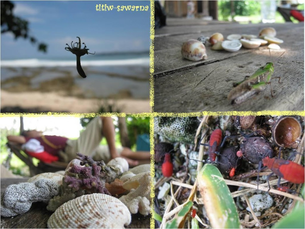 macros sawarna - titiw.php