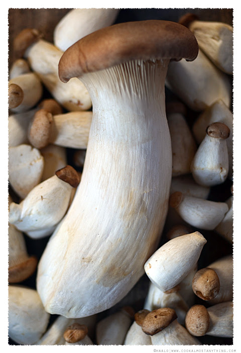 King Oyster Mushroom© by Haalo