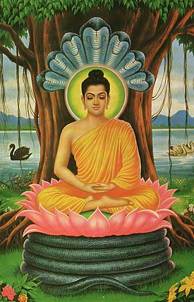 Buddha meditating.jpg