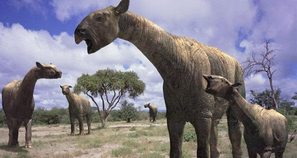 10 animais gigantes que viveram depois dos dinossauros 10 animais gigantes que viveram depois dos dinossauros