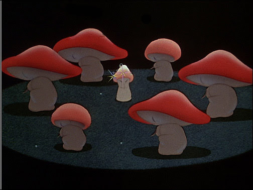 5 mushrooms.jpg