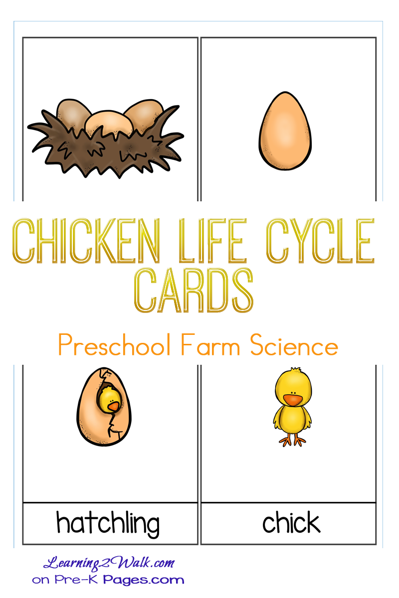 Farm Science Activity for prechoolers