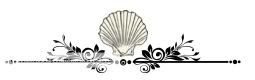 Image result for sea shell page divider