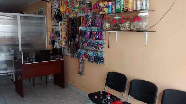 San Juan Bautista 356, urb. palao .San Martín de Porres lima peru, Perú