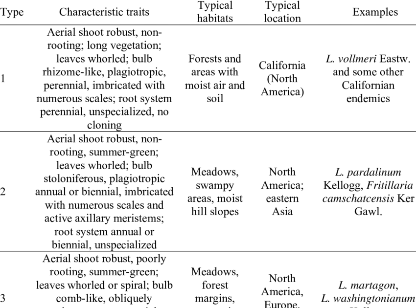 Liliaceae Family Flowers Examples