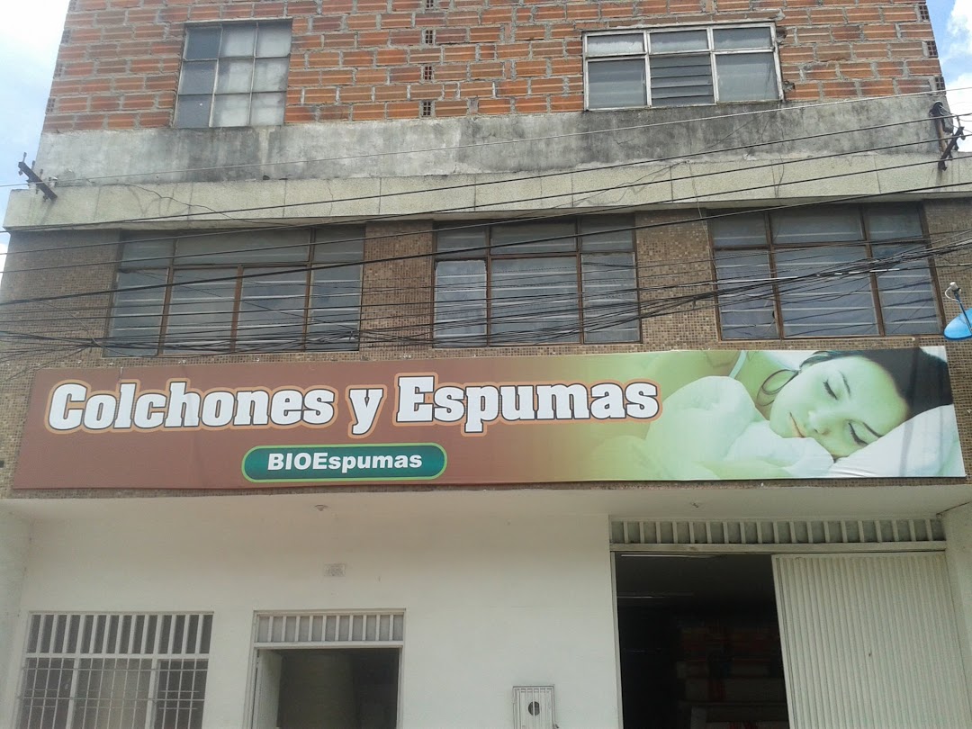 Bio Espumas