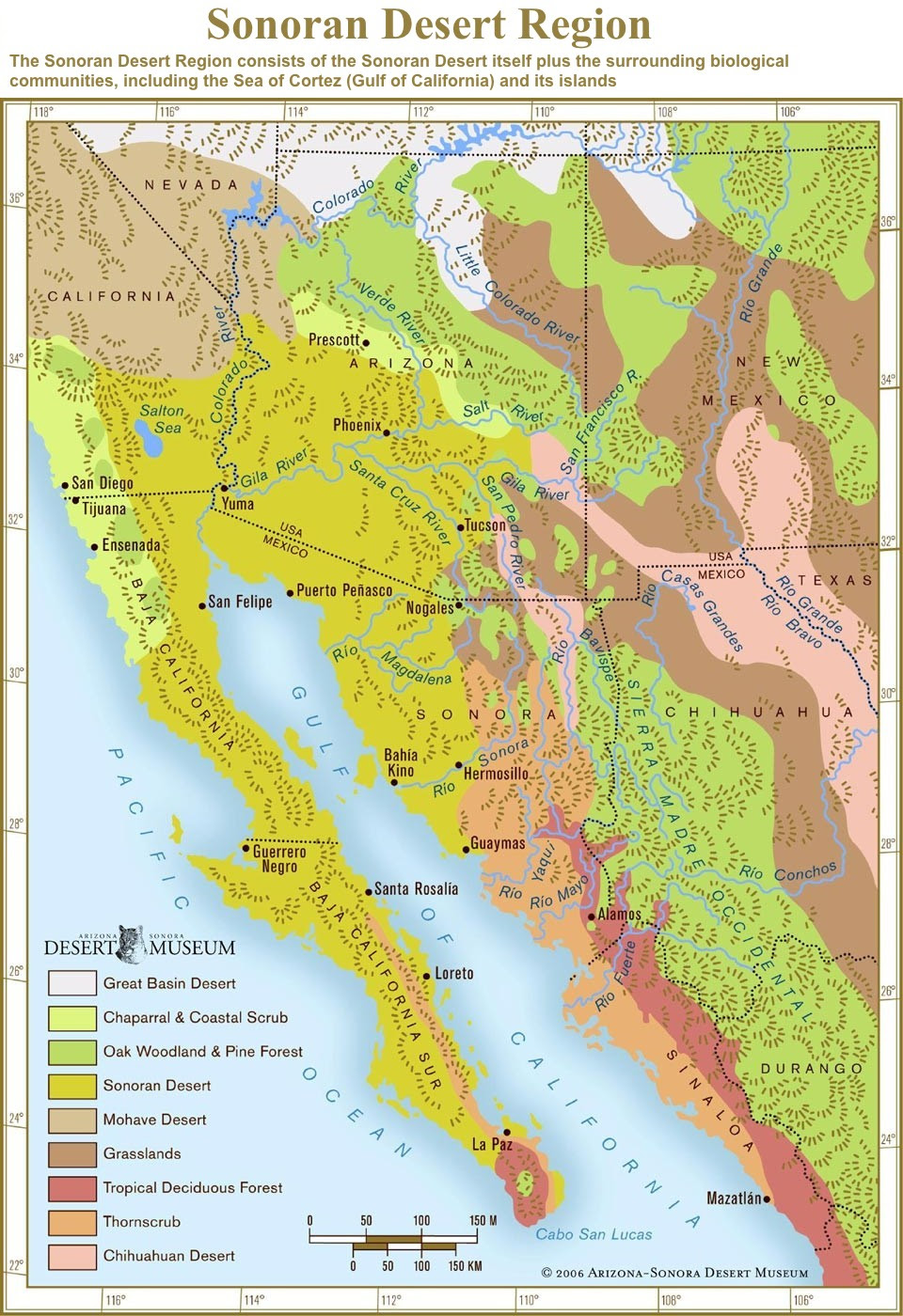 Sonoran Desert Ecosystem
