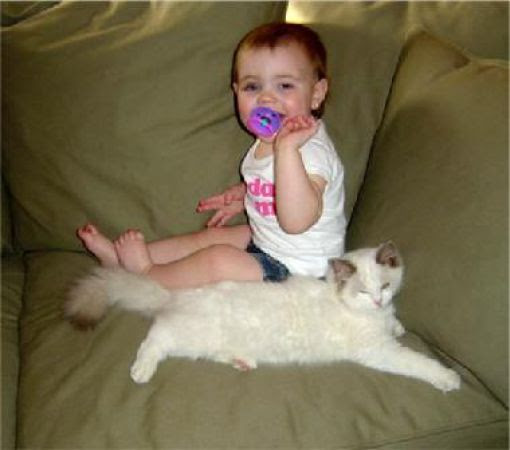 Kittens and Babies Are So Cute Together (21 pics)