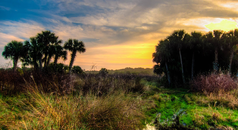 Photo & Video Sharing by SmugMug Photo & Video Sharing by SmugMug