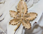 Sarah Cov Leaf Brooch Pin Gold Tone Designer Signed Vintage - LadyLyBoutique