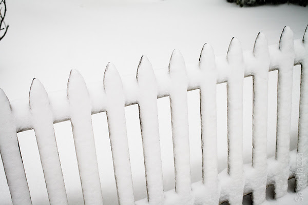 Blizzard 2013, Edgartown