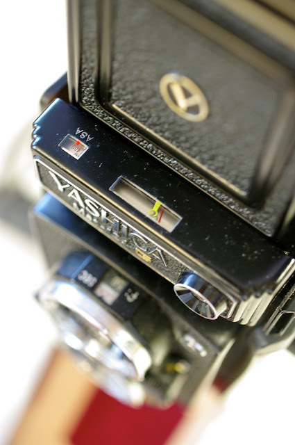 Yashica Mat 124G -- a lovely TLR