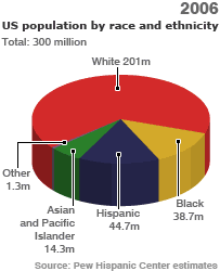Ethnic diversity graph