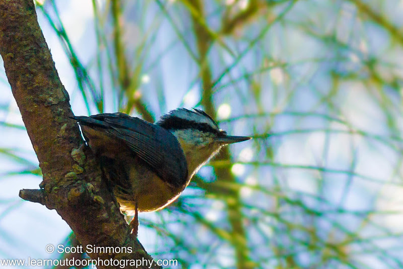 Photo & Video Sharing by SmugMug Photo & Video Sharing by SmugMug