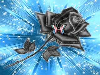 Чёрная роза с бабочкой