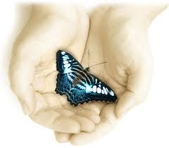 vlinder-hand