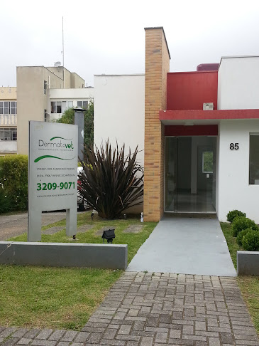 Avaliações sobre Dermatovet - Dermatologia Veterinária em Curitiba - Veterinário