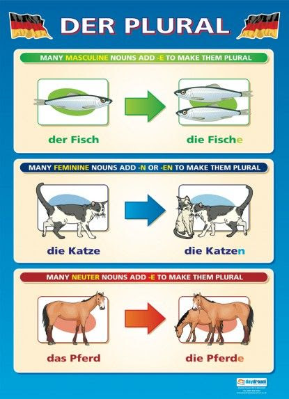 learning-german-plurals-german-language-lessons