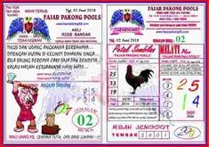 Nomor Pakong Yg Keluar Hari Ini Seputar Nomor
