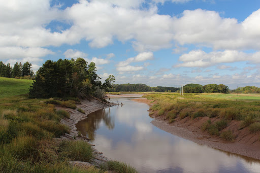 Tidal Bore - AVON RIVER HERITAGE CENTRE