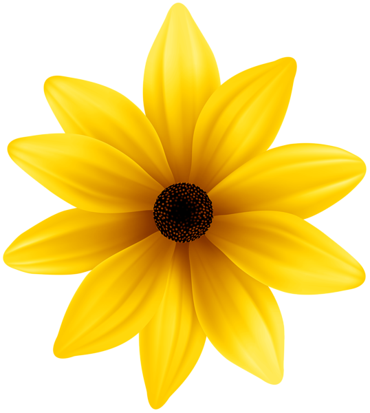 download yellow flowers png images png gif base download yellow flowers png images