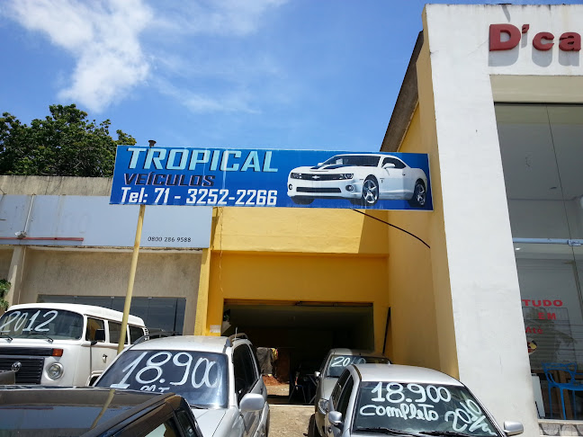 Tropical Veículos - Salvador