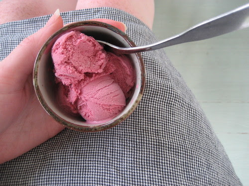 homemade ice cream::