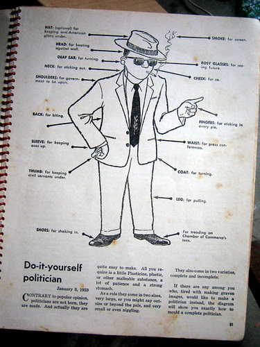 do-it-yourself politician