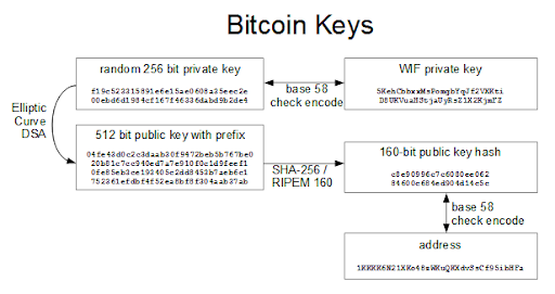 view bitcoin public key