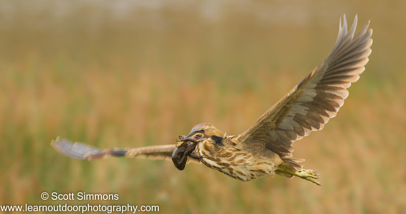Photo & Video Sharing by SmugMug Photo & Video Sharing by SmugMug