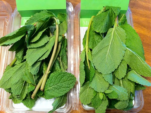 Two Packs of Fresh Mint