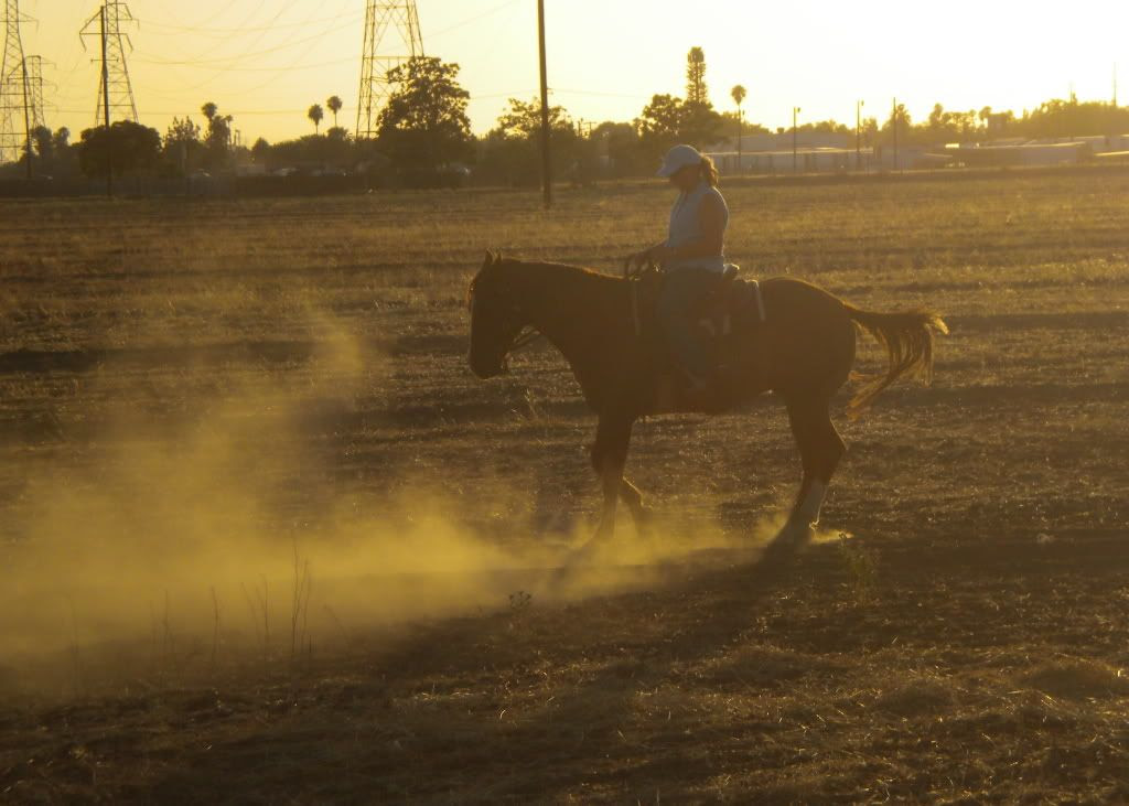 Sunset Ride