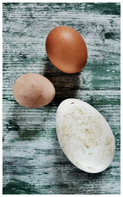 three eggs© by Haalo