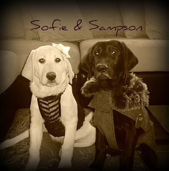 Sofie and Sampson