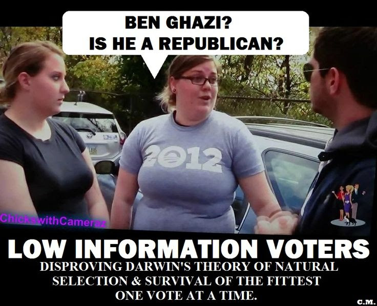 Image result for “low-information” voters