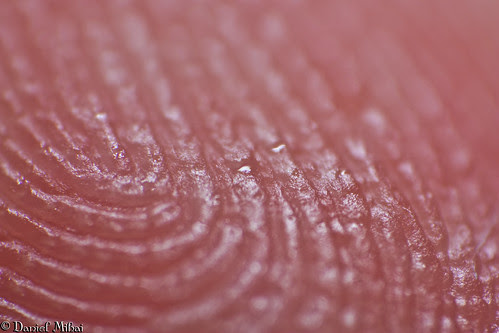 Fingerprints