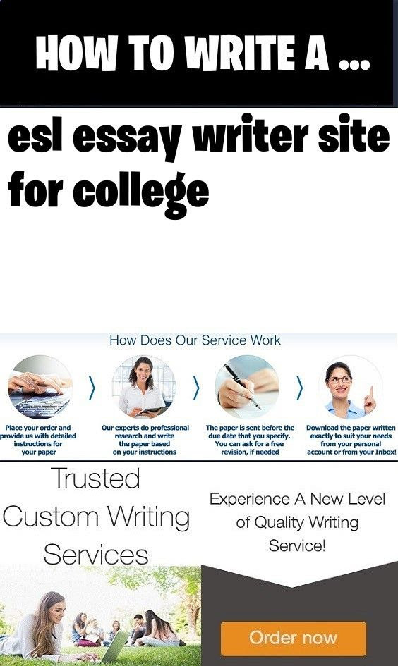 Best essay writing service usa