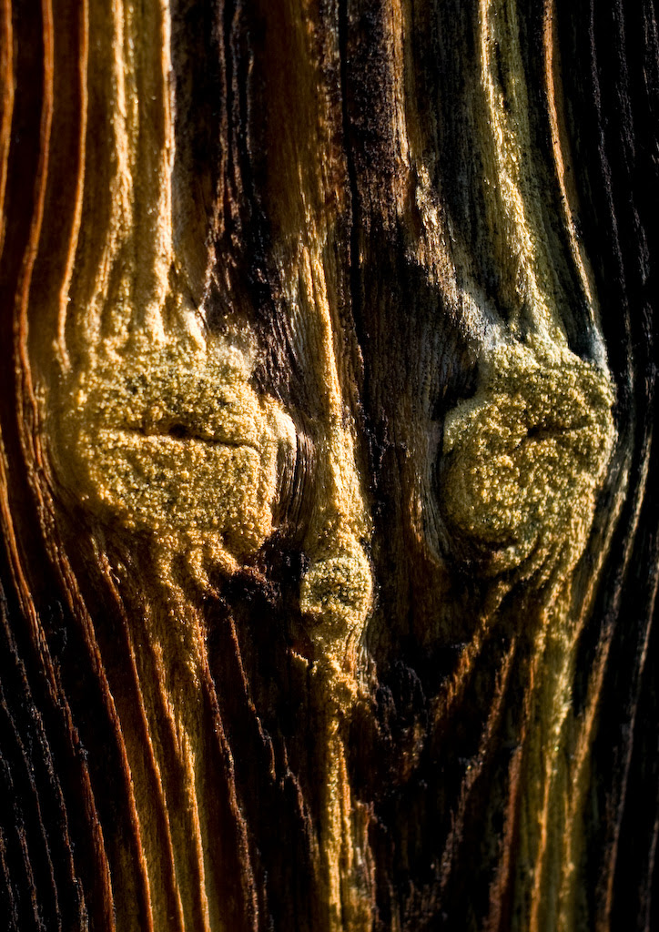 Wooden Face 17586