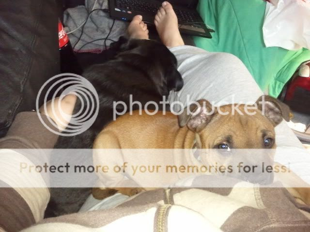 Photobucket