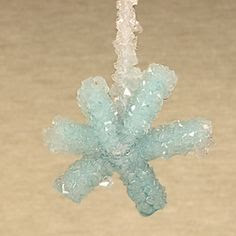 Borax Crystal Snowflake | Experiments | Steve Spangler Science