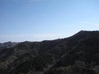 Free Image Hosting at www.ImageShack.us