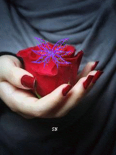 Роза в руке с бабочкой
