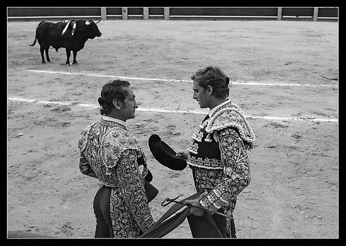 frascuelo brindis