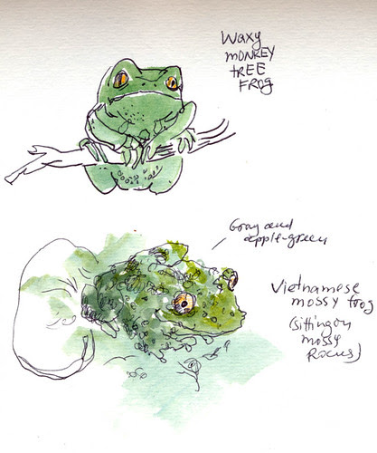 March 2012: Cal Academy of Sciences